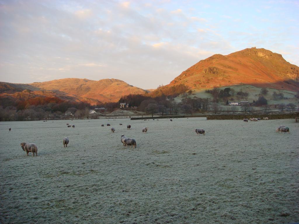 Raise View House Bed and Breakfast Grasmere Εξωτερικό φωτογραφία